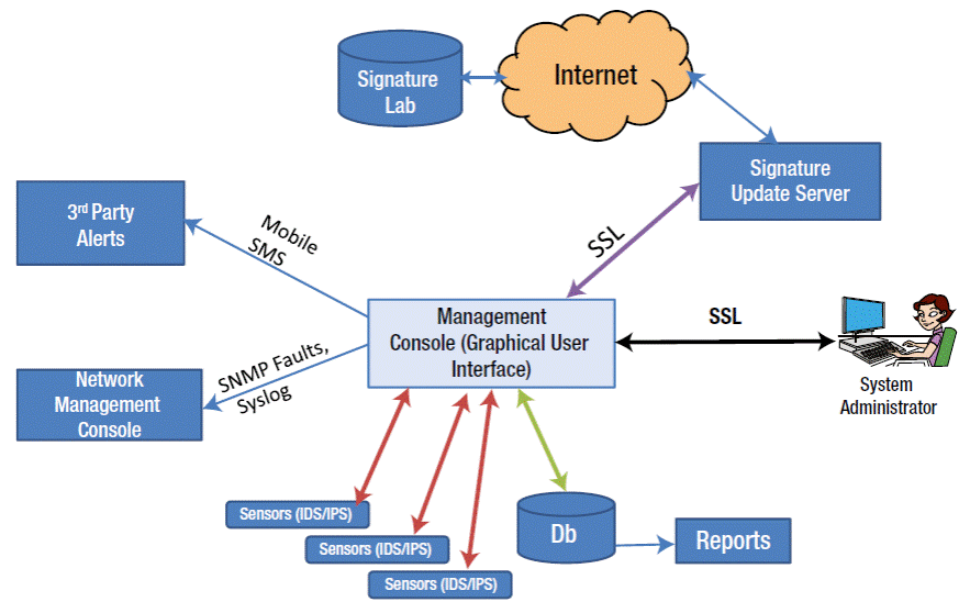 IT Management Consulting – Interfex Technologies Limited